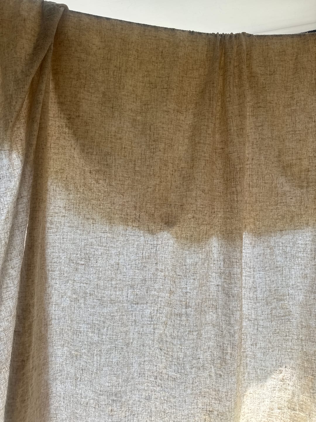 Customer photo review of Remnant - Hector - Oatmeal (1m)