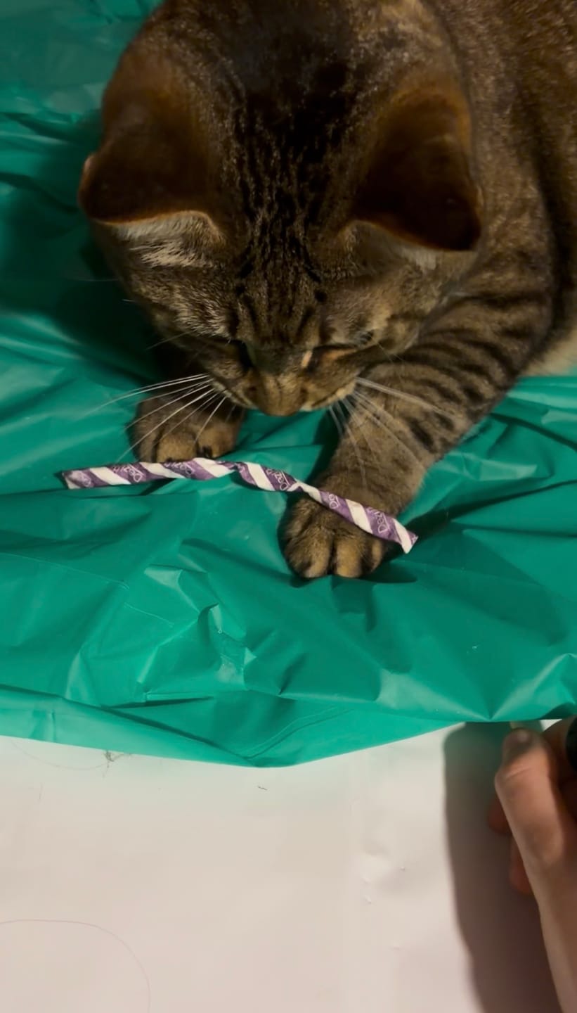 Customer photo review of Silly Stix