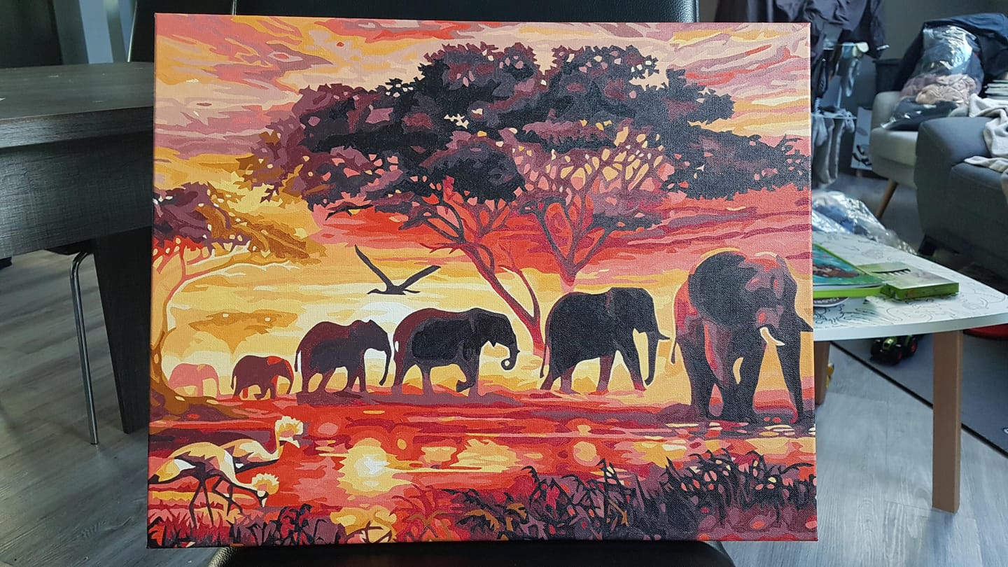Customer photo review of Eléphants au Coucher du soleil