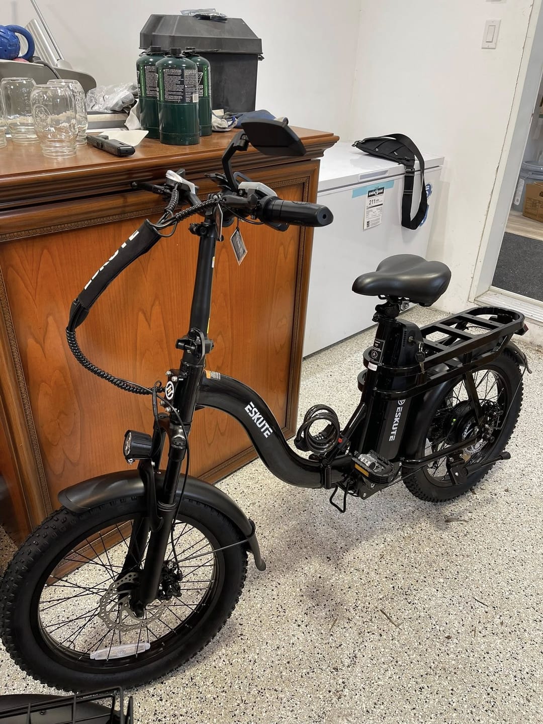 Customer photo review of Eskute D202 Folding-E-Bike