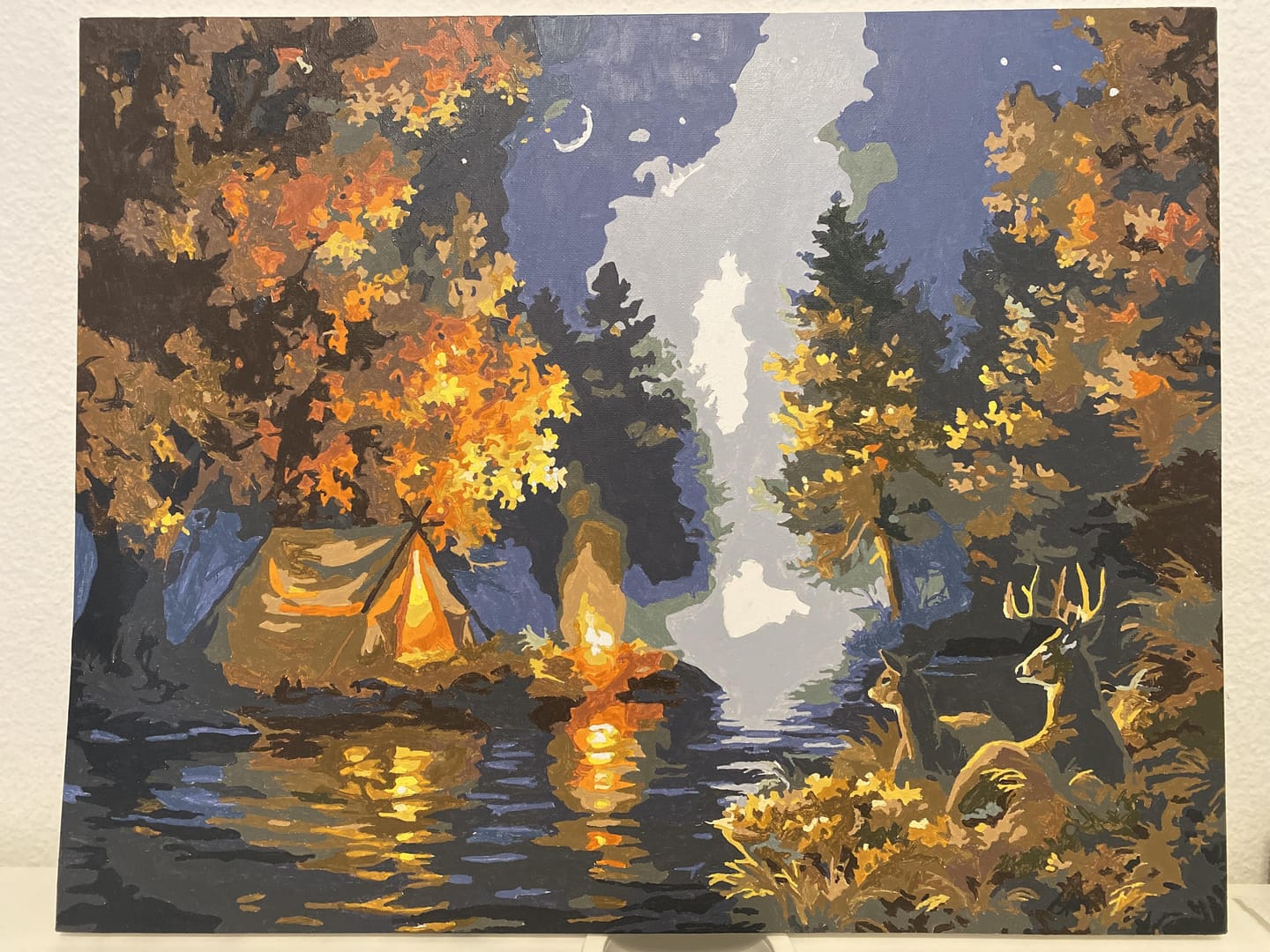 Customer photo review of Camping sous une nuit étoilée