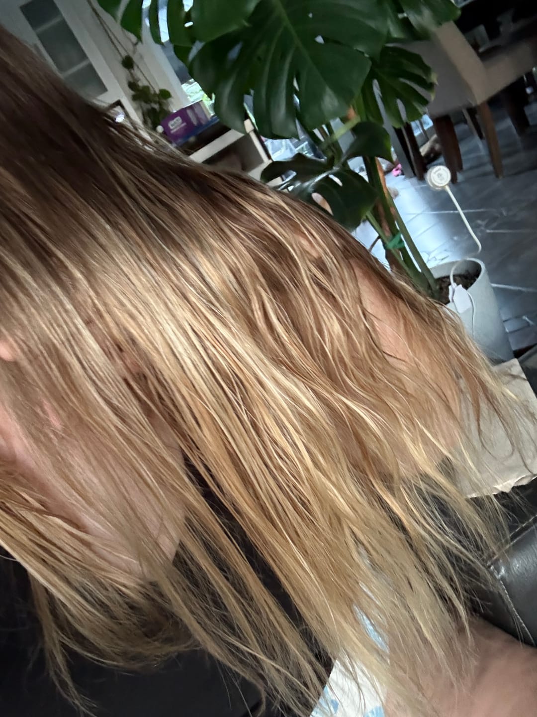 Customer photo review of Scalp Balance Set