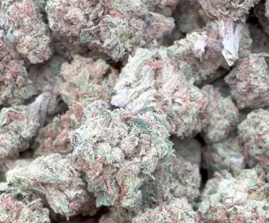Customer photo review of Apple Banana Minis - Bulk Minis - Hybrid