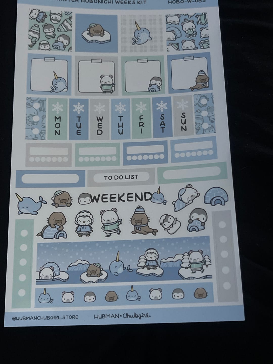 Customer photo review of Arctic Winter Theme Hobonichi Weeks Kit