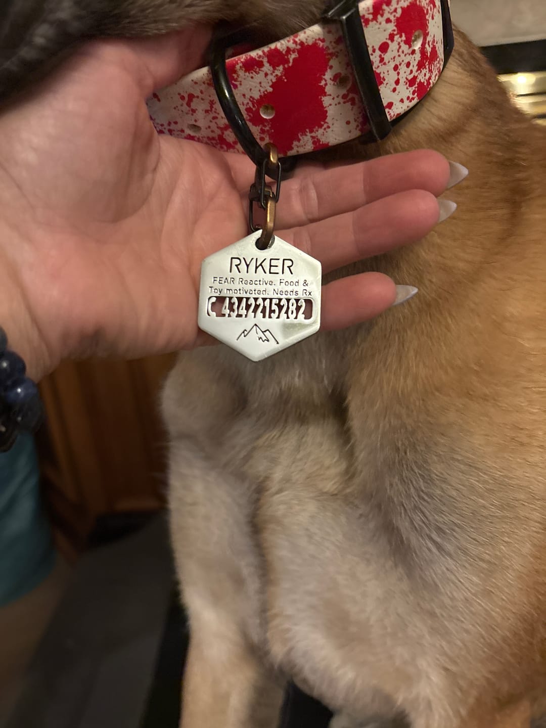 Customer photo review of Hollow-carved Dog ID Tags