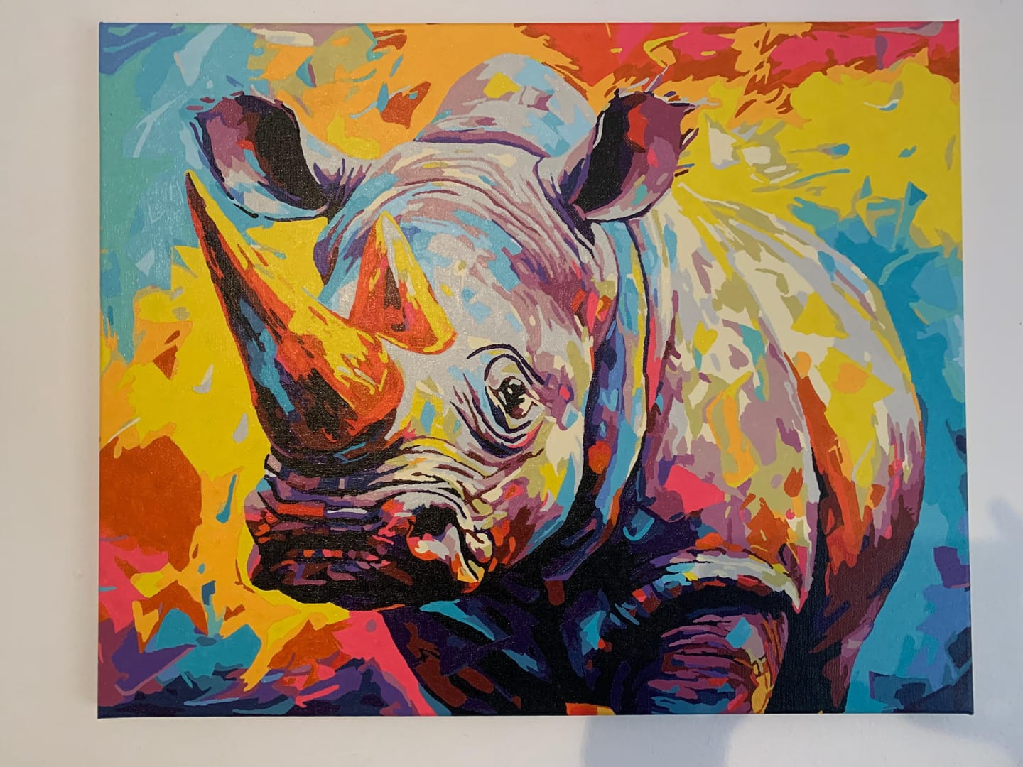 Customer photo review of Rhinocéros Coloré Abstrait