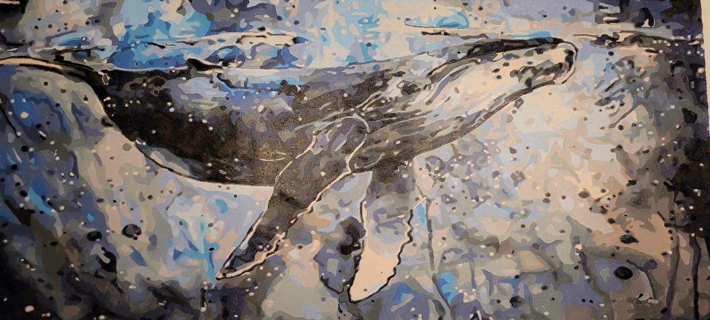 Customer photo review of Baleine