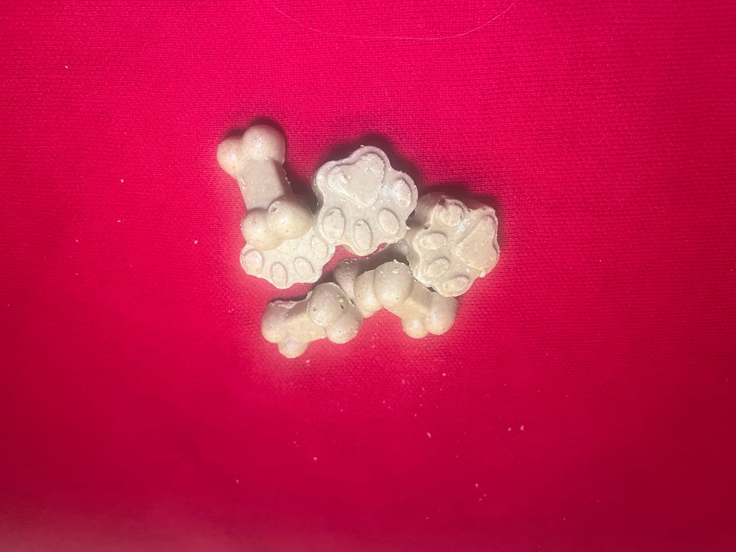 Customer photo review of BoneItUp® Homemade Dog Treats Kit