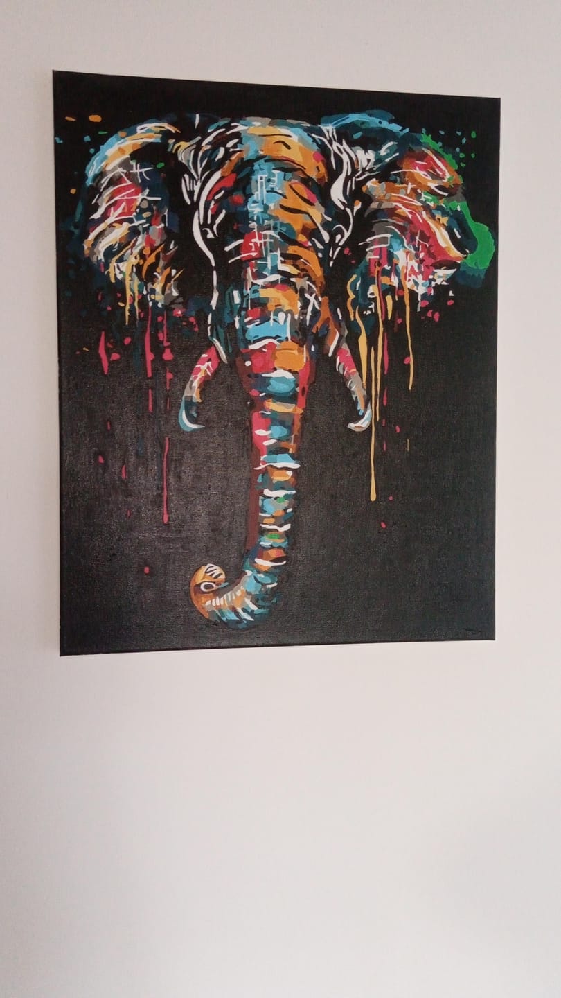 Customer photo review of Peinture Elephant
