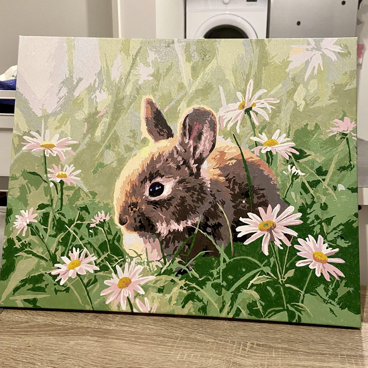 Customer photo review of Lapin et marguerites
