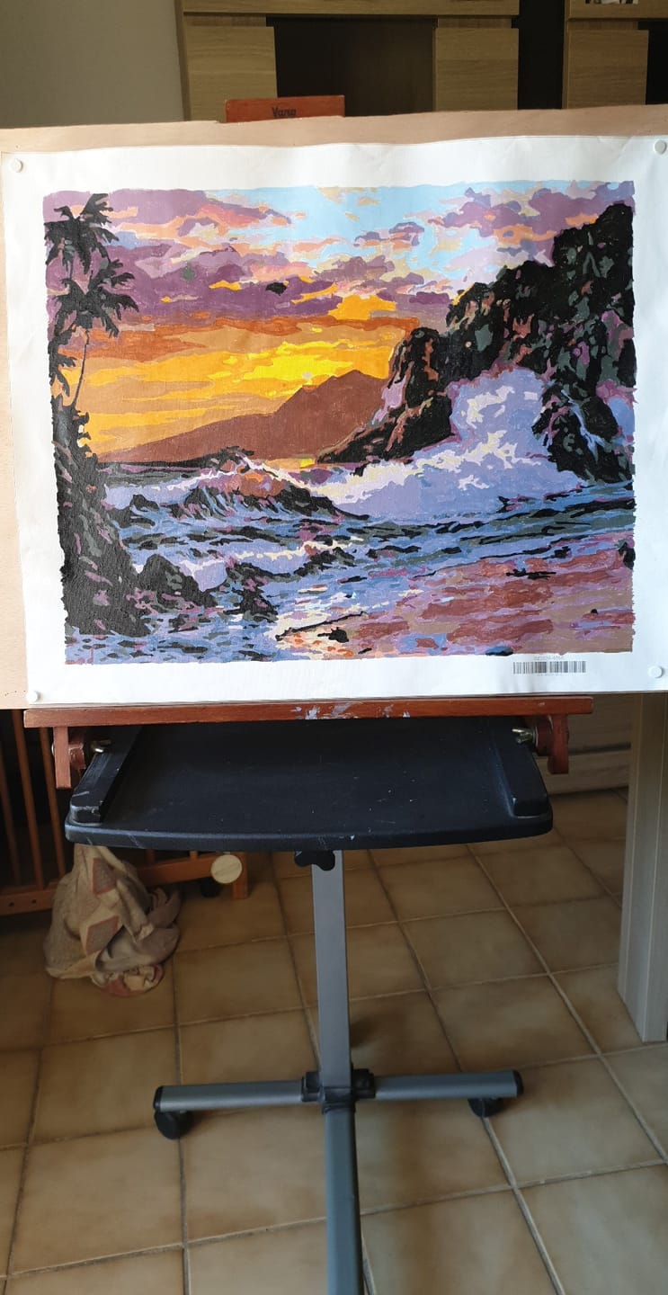 Customer photo review of Falaise et Vagues
