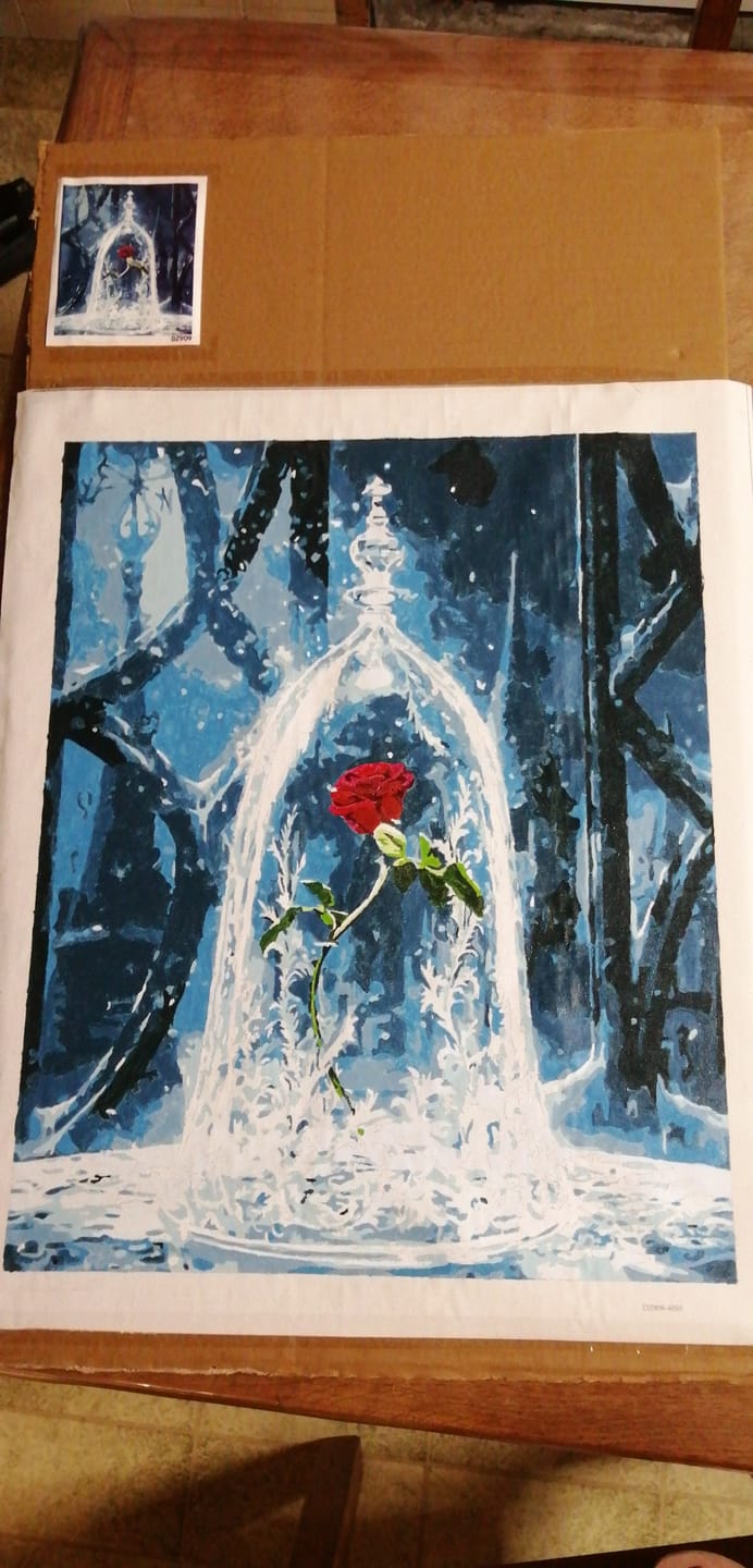 Customer photo review of Rose Enchantée