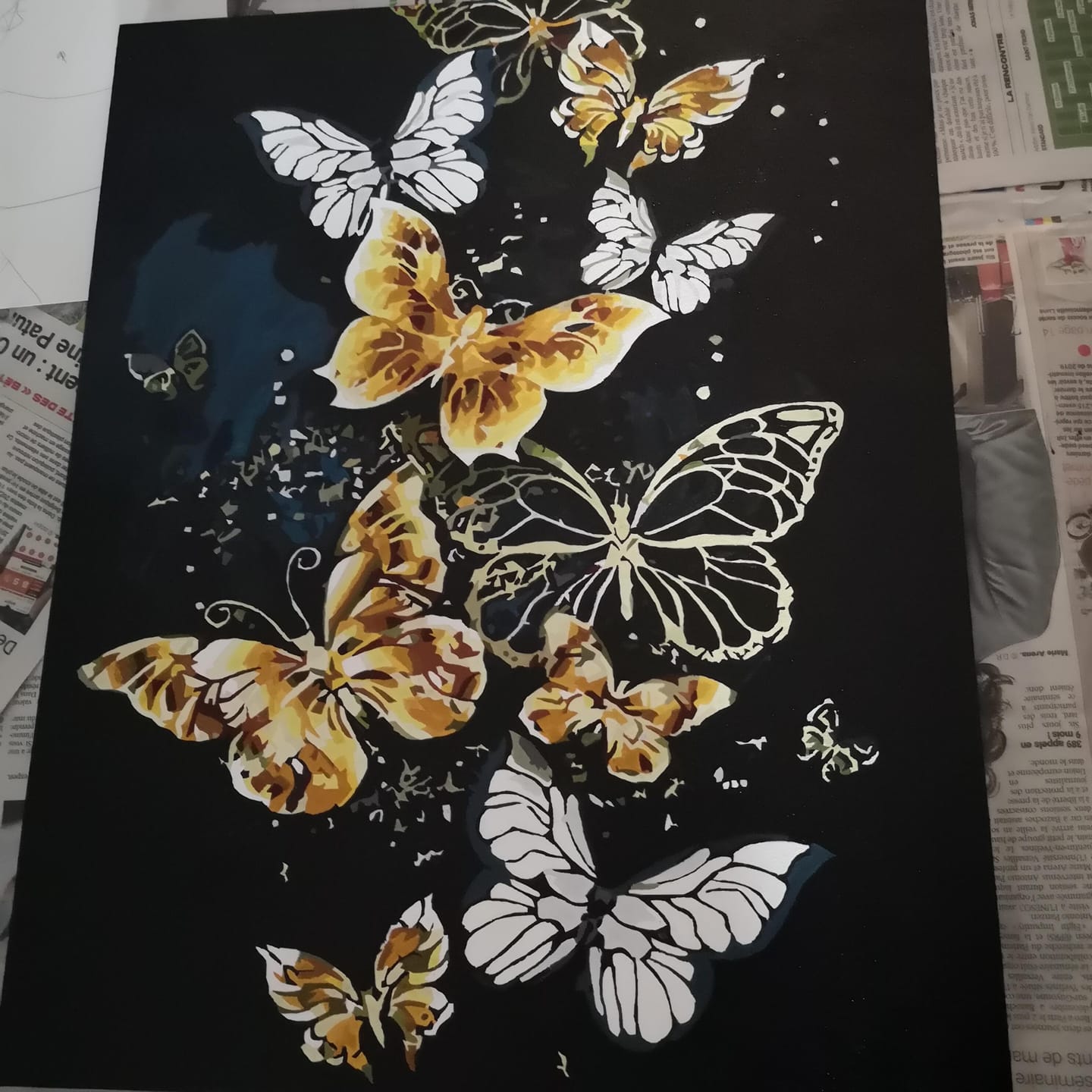 Customer photo review of Papillons féériques