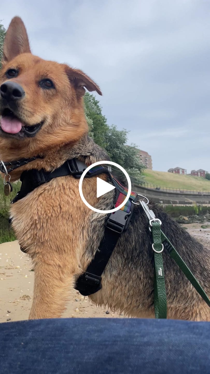 Customer video review of Tidal Waterproof Grab Handle