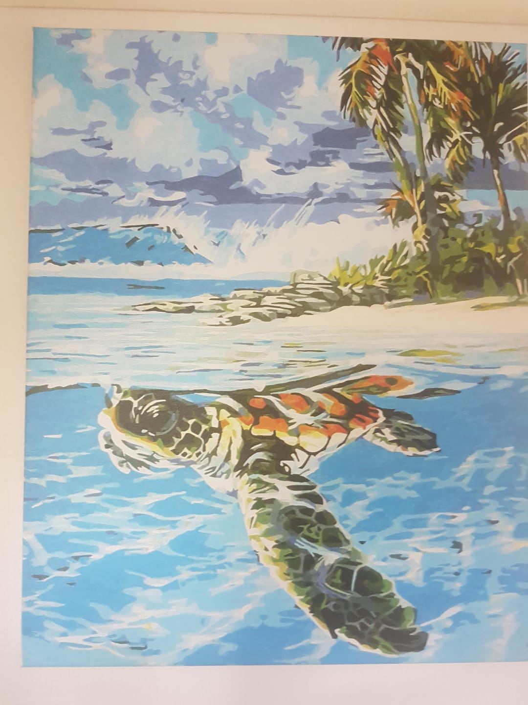 Customer photo review of Tortue détendue