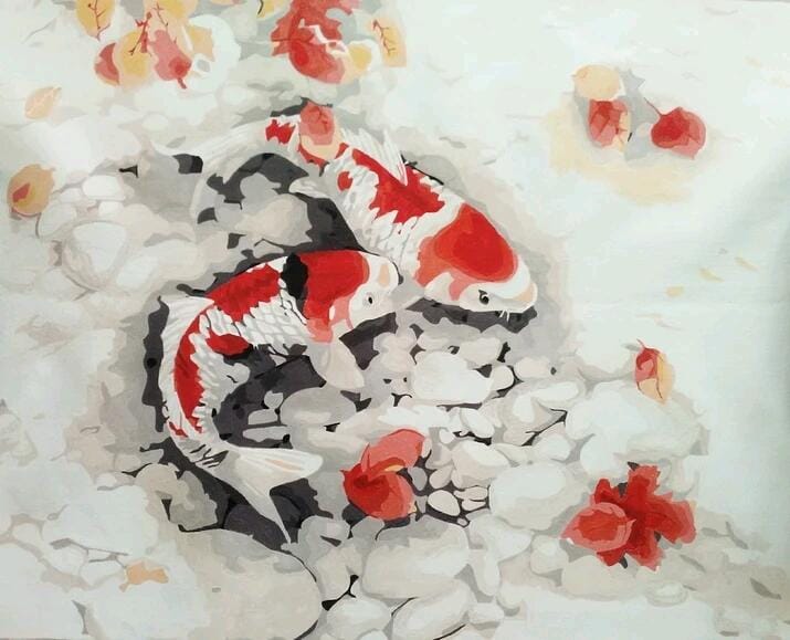 Customer photo review of Duo de Carpes Koi