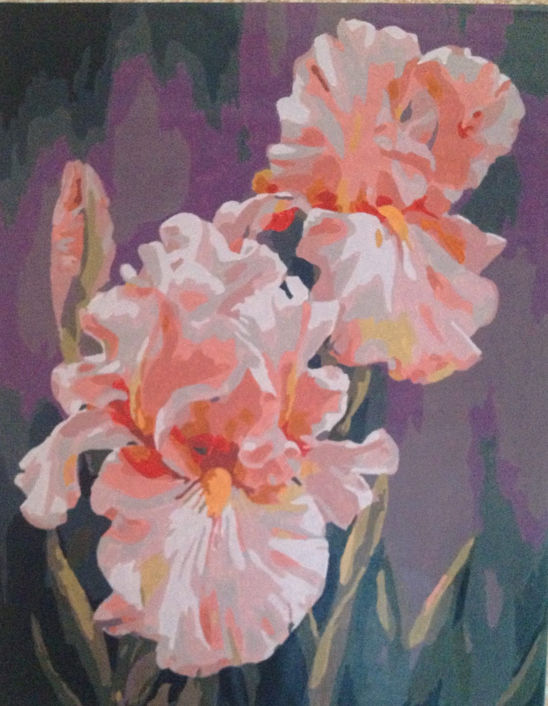 Customer photo review of Iris rosé