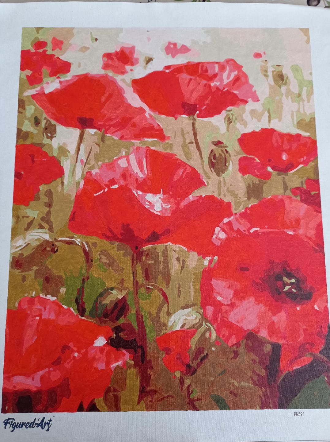 Customer photo review of Champ de Coquelicots