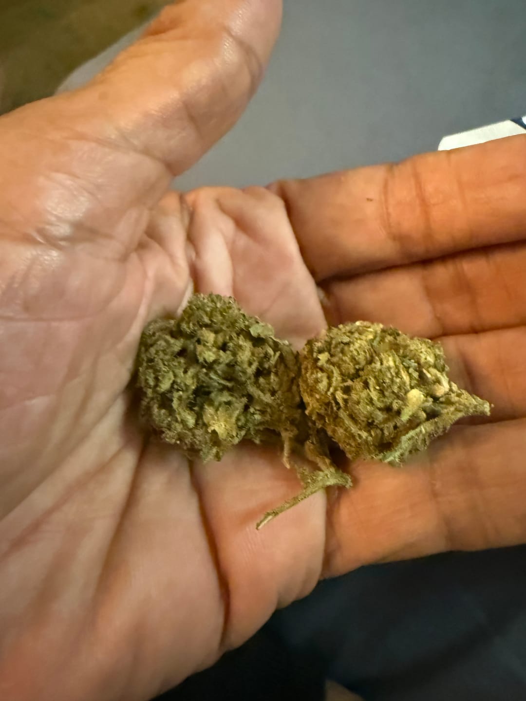 Customer photo review of Raspberry Kush - Minis - 28 Grams - Indica
