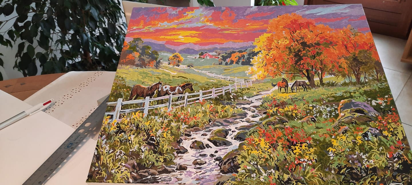 Customer photo review of Prairie ensoleillée