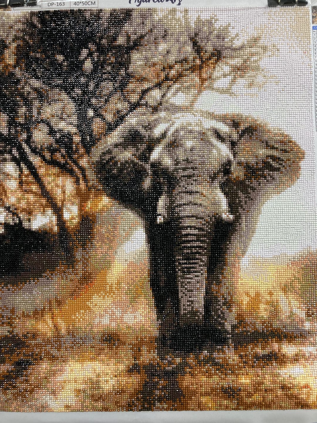 Customer photo review of Broderie Diamant - Eléphant dans la Savane