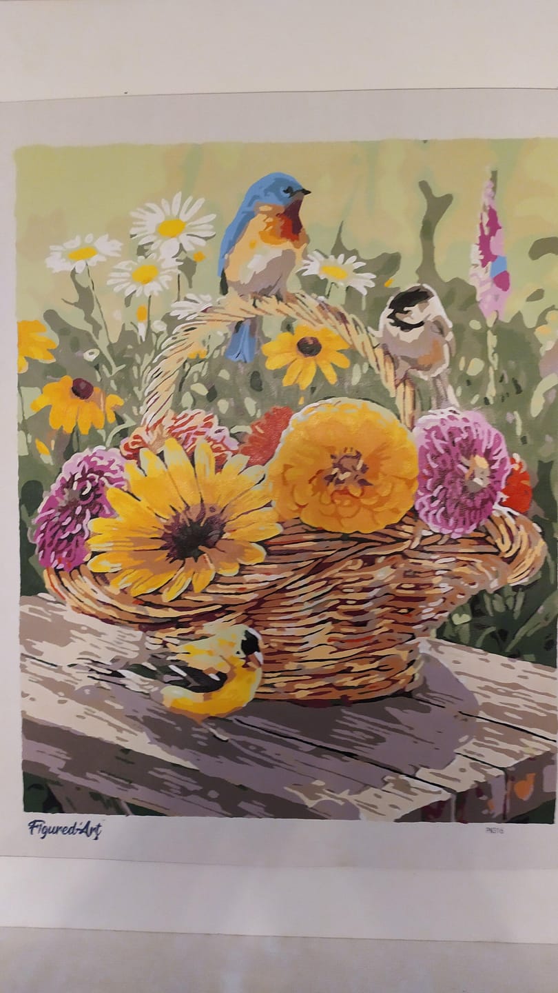 Customer photo review of Fleurs dans un Panier et Oiseaux