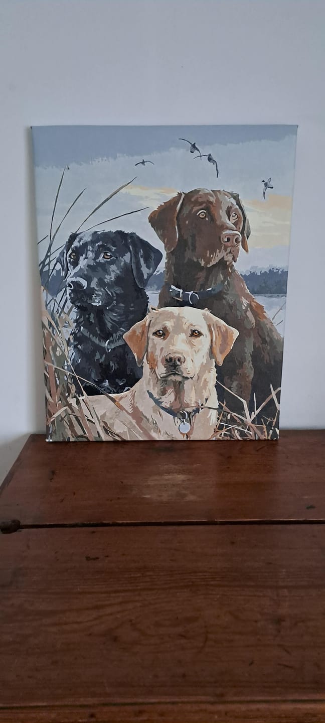 Customer photo review of Trio de Labrador