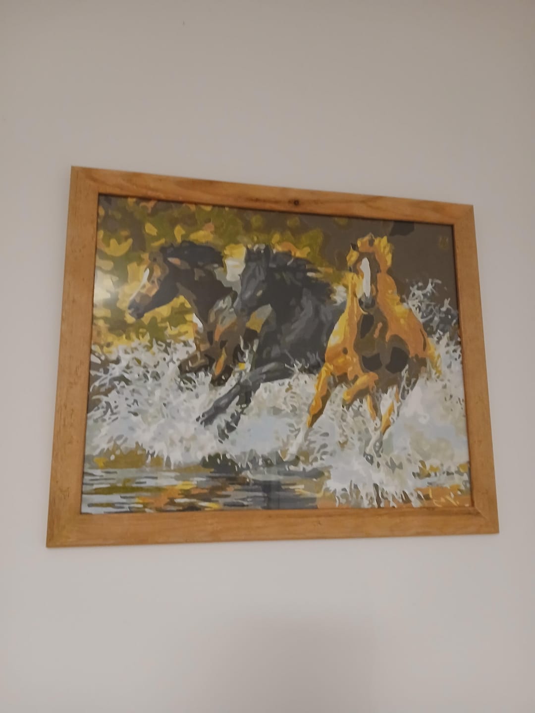 Customer photo review of Chevaux de Camargue