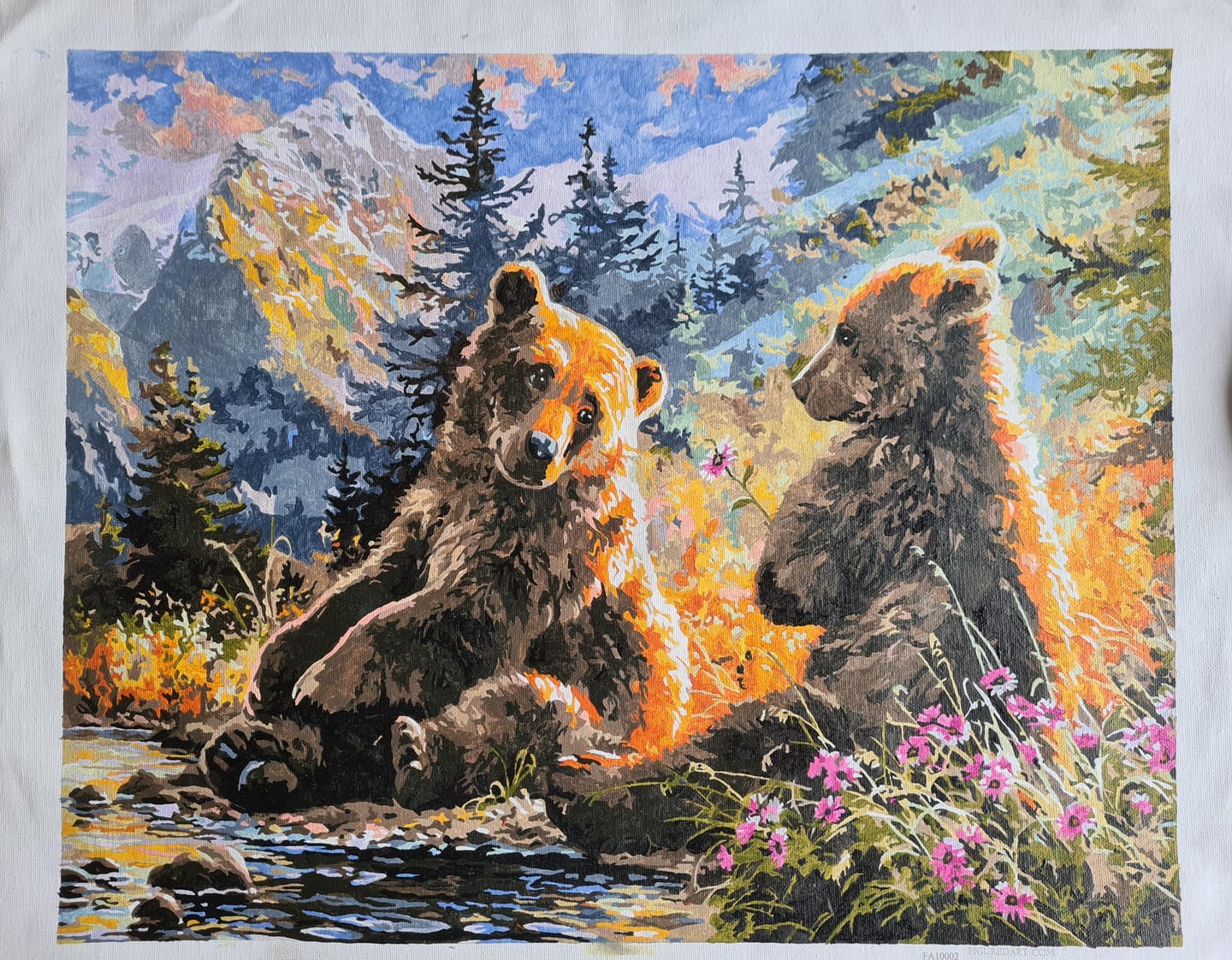 Customer photo review of Couple d'ours