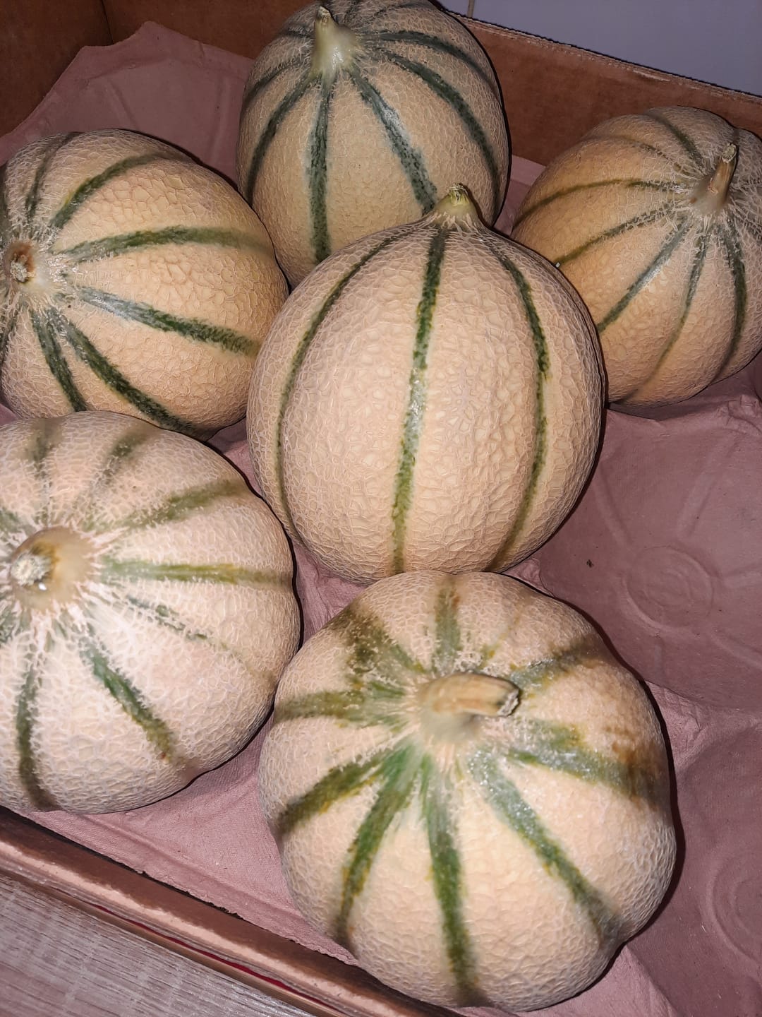 Customer photo review of Melons de Corse - Lot de 3