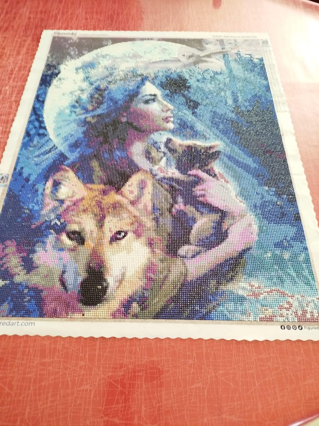 Customer photo review of Broderie Diamant - Femme des bois et Loup