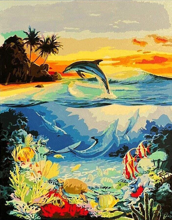 Customer photo review of Dauphins dans le lagon