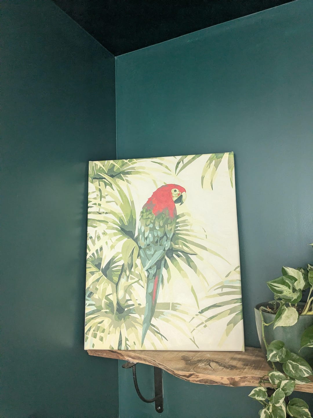 Customer photo review of Perroquet et Plante verte