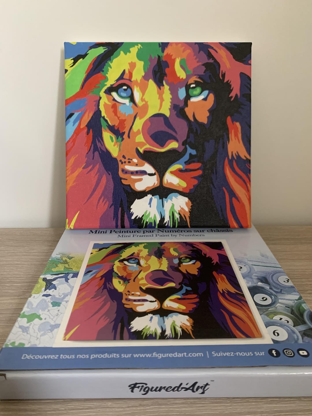 Customer photo review of Mini Peinture par Numéros 20x20cm avec cadre Lion Pop Art