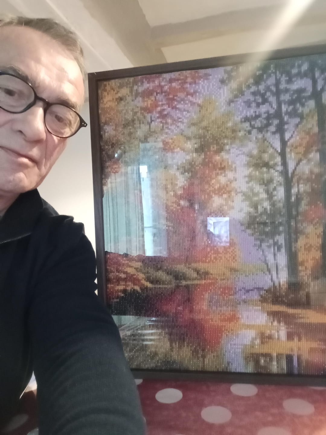 Customer photo review of Broderie Diamant - Lac en Automne