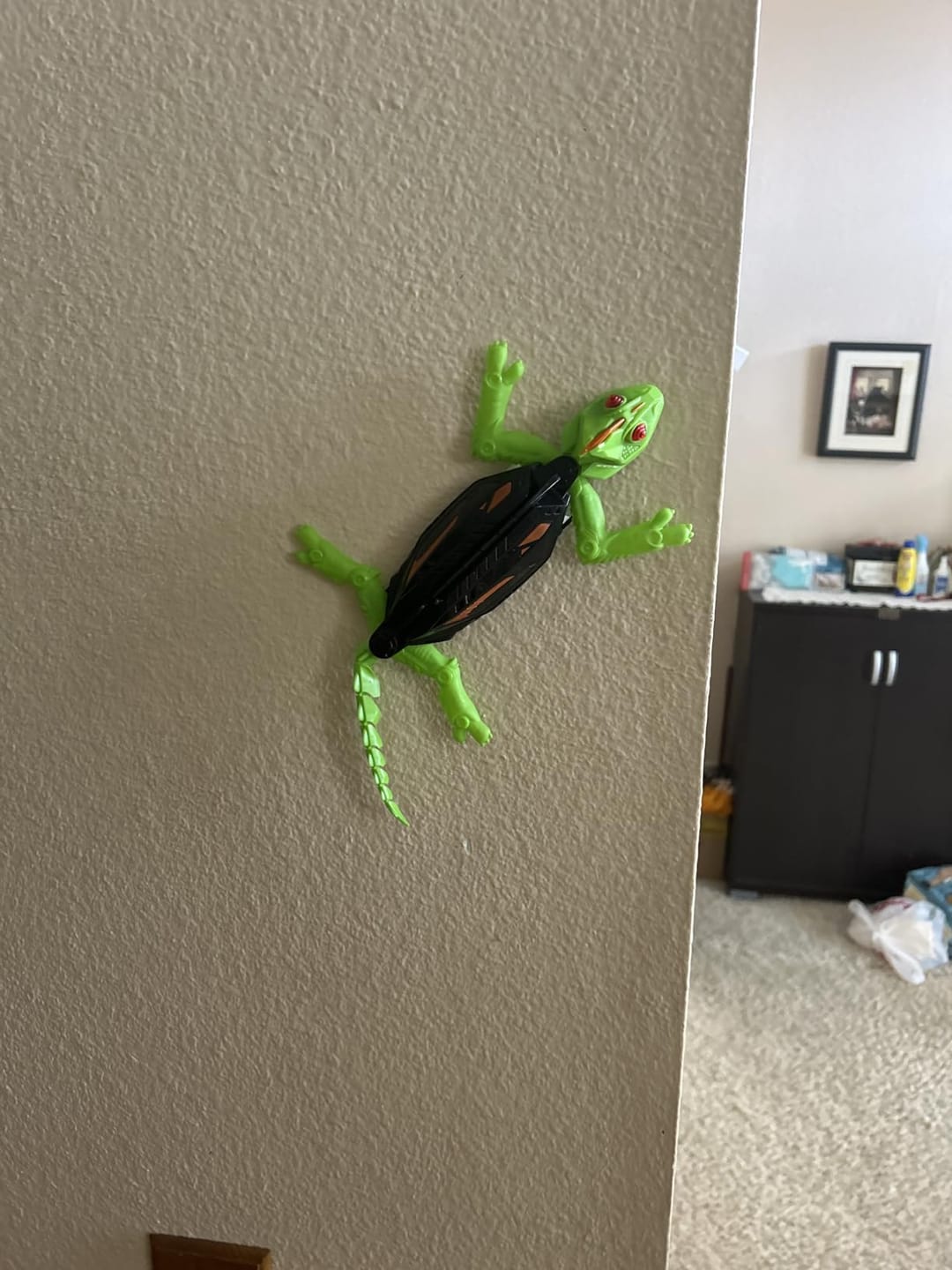 Customer photo review of TinyMini™ Uzaktan Kumandalı Duvar ve Tavana Tırmanabilen Kertenkele