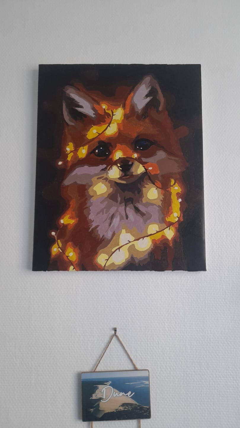 Customer photo review of Petit renard et guirlande éclairée