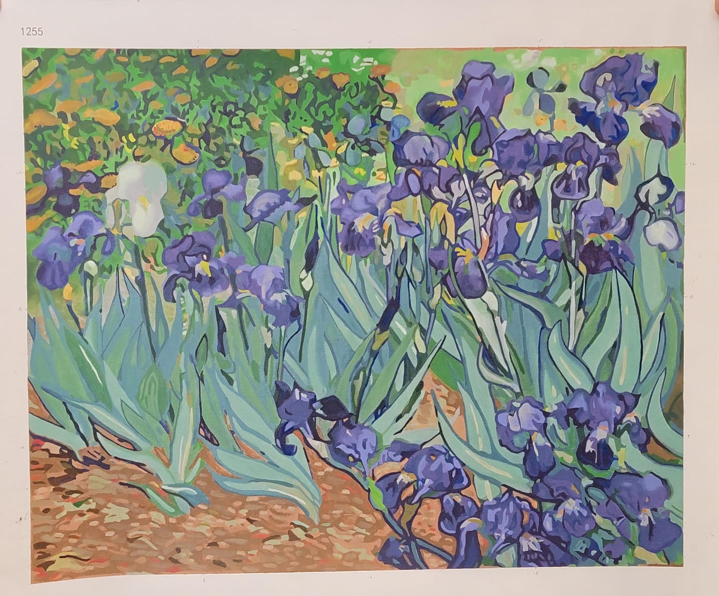 Customer photo review of Van Gogh Iris