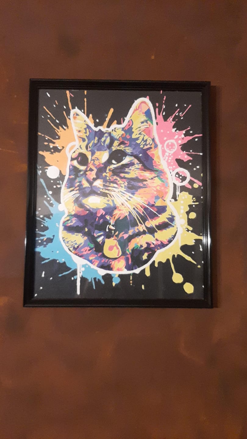 Customer photo review of Chat Splash Pop Art