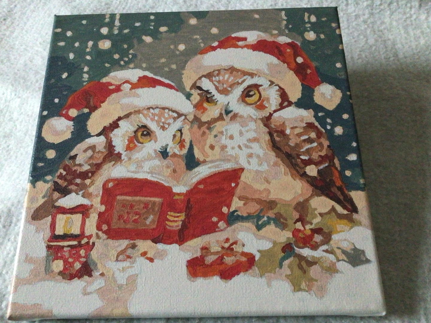 Customer photo review of Mini Peinture par Numéros 20x20cm avec cadre Chouettes Père Noël Lisant