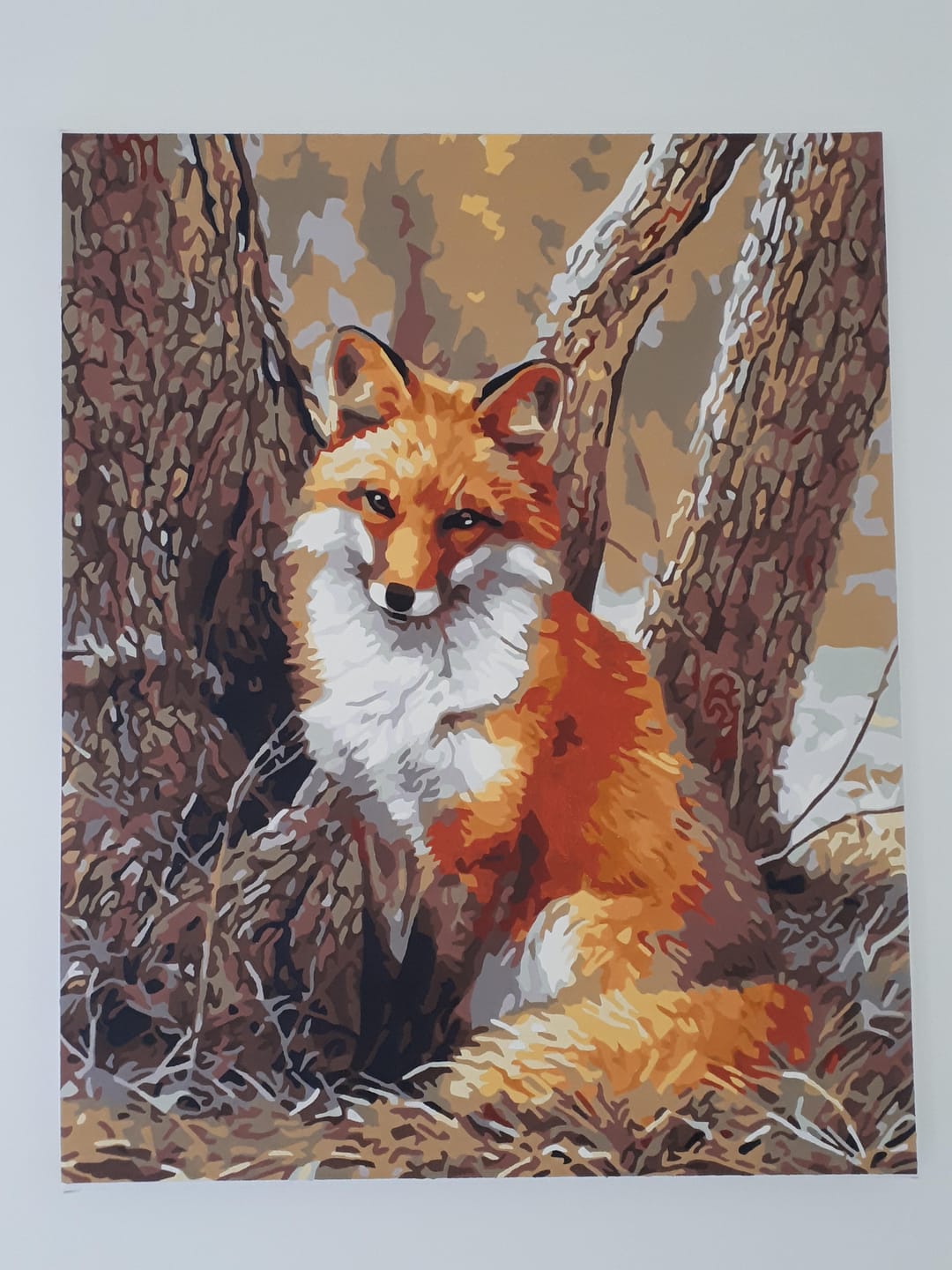 Customer photo review of Renard paisible