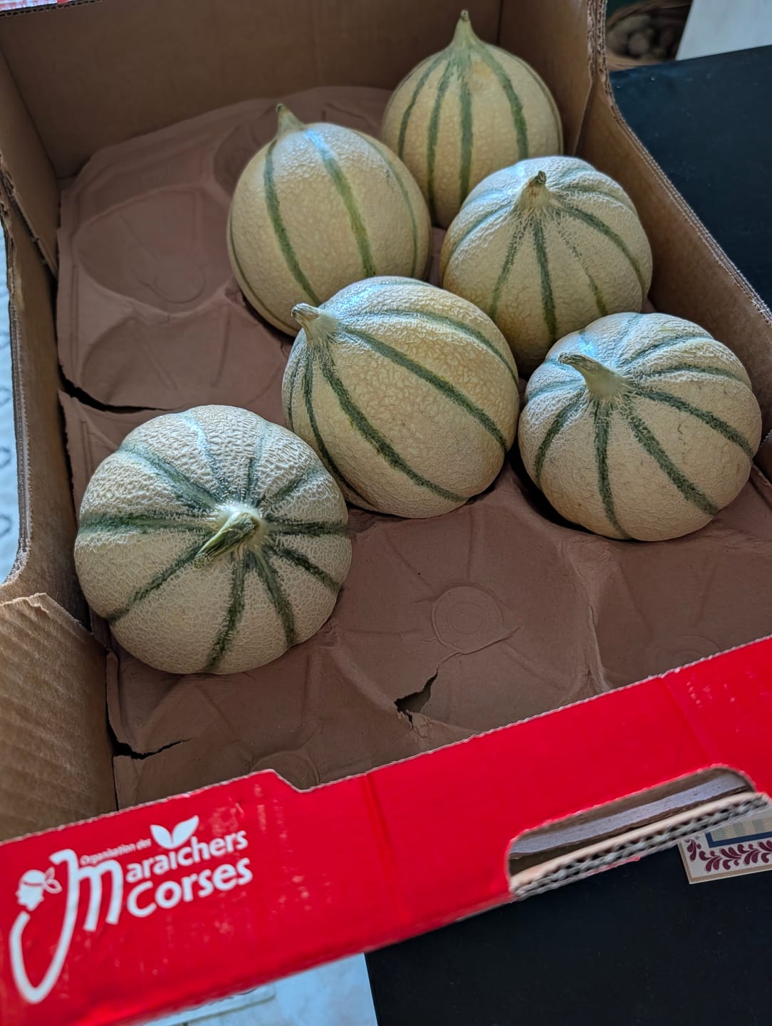 Customer photo review of Melons de Corse - Lot de 3