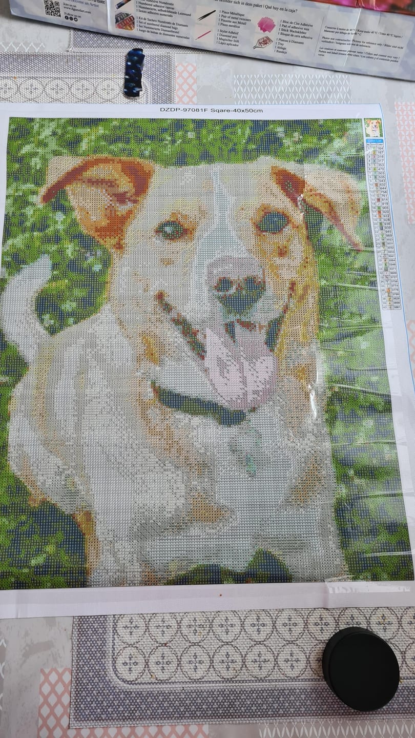 Customer photo review of Diamond Painting Personnalisé