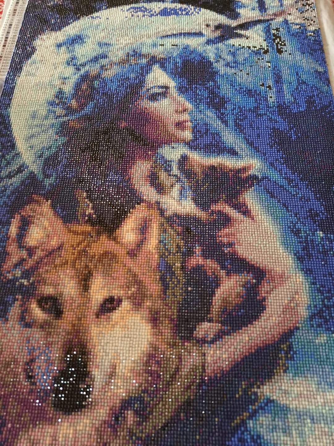 Customer photo review of Broderie Diamant - Femme des bois et Loup