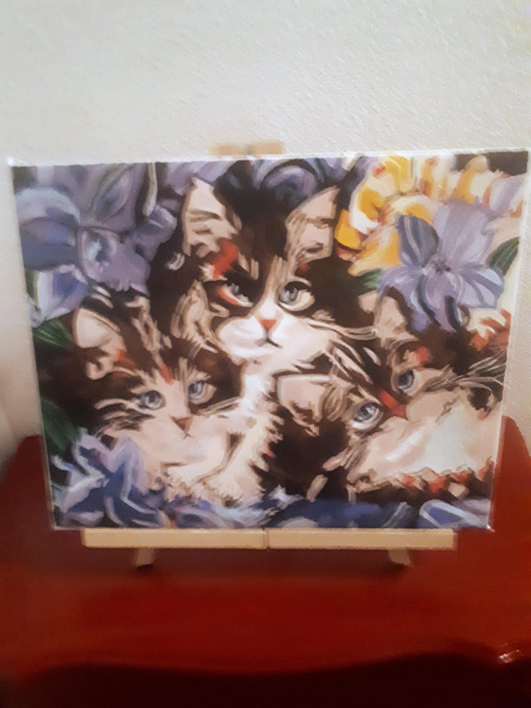 Customer photo review of Les Chats en Famille