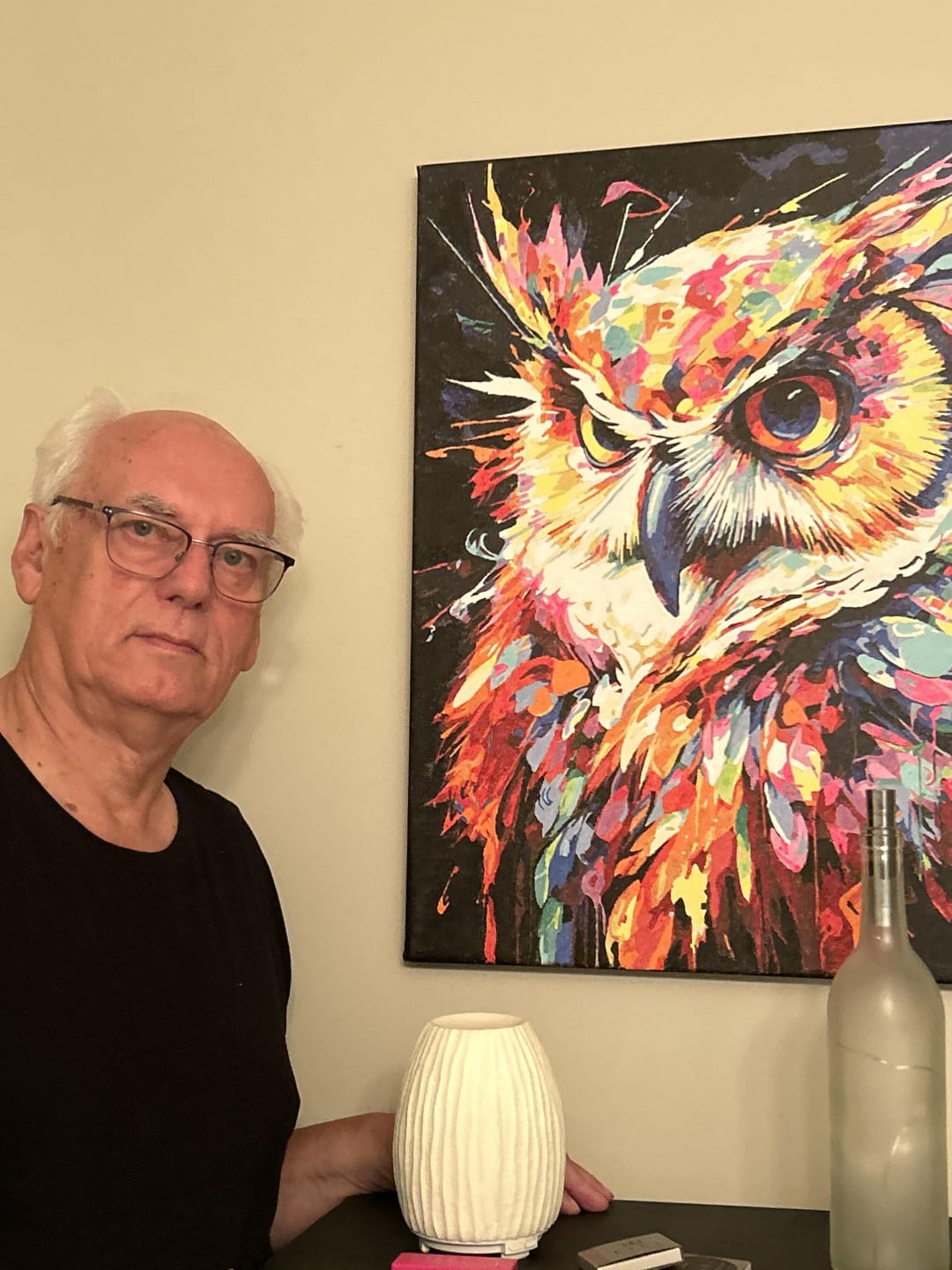 Customer photo review of Hibou Coloré Abstrait