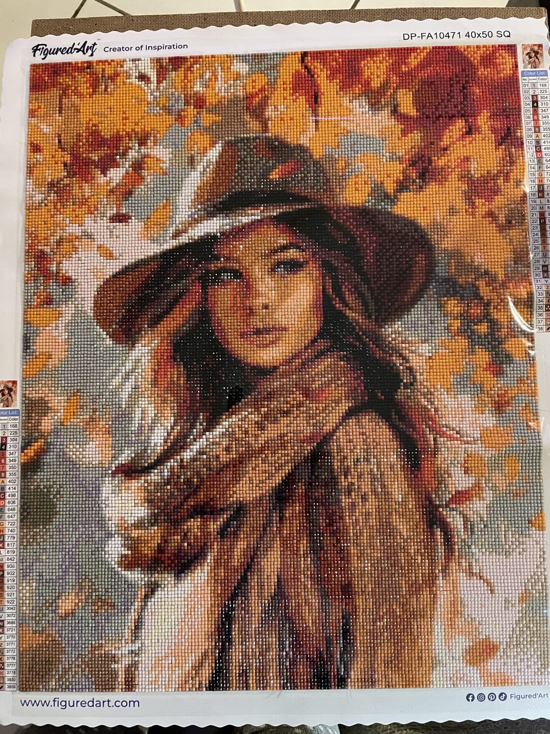 Customer photo review of Broderie Diamant - Femme dans le vent d'Automne
