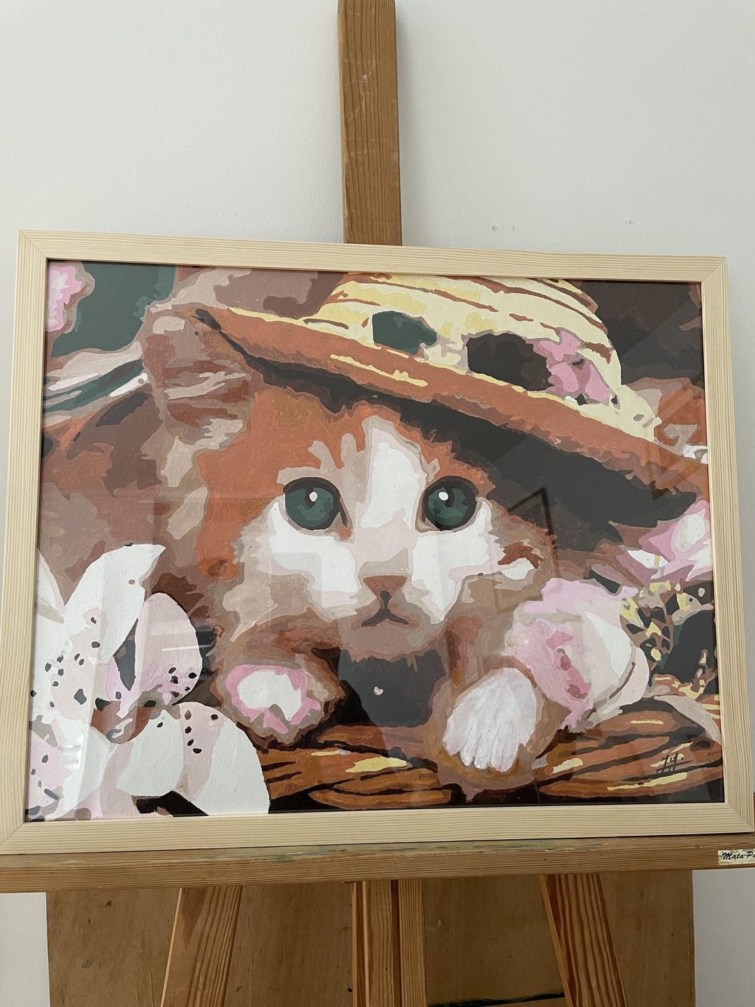 Customer photo review of Le Chat au Chapeau
