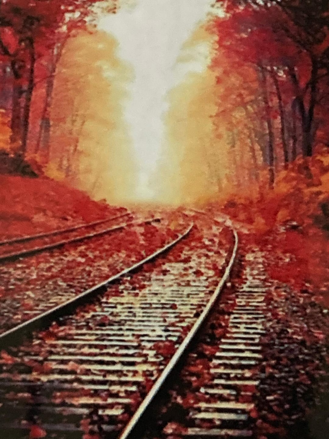 Customer photo review of Les Rails en Automne