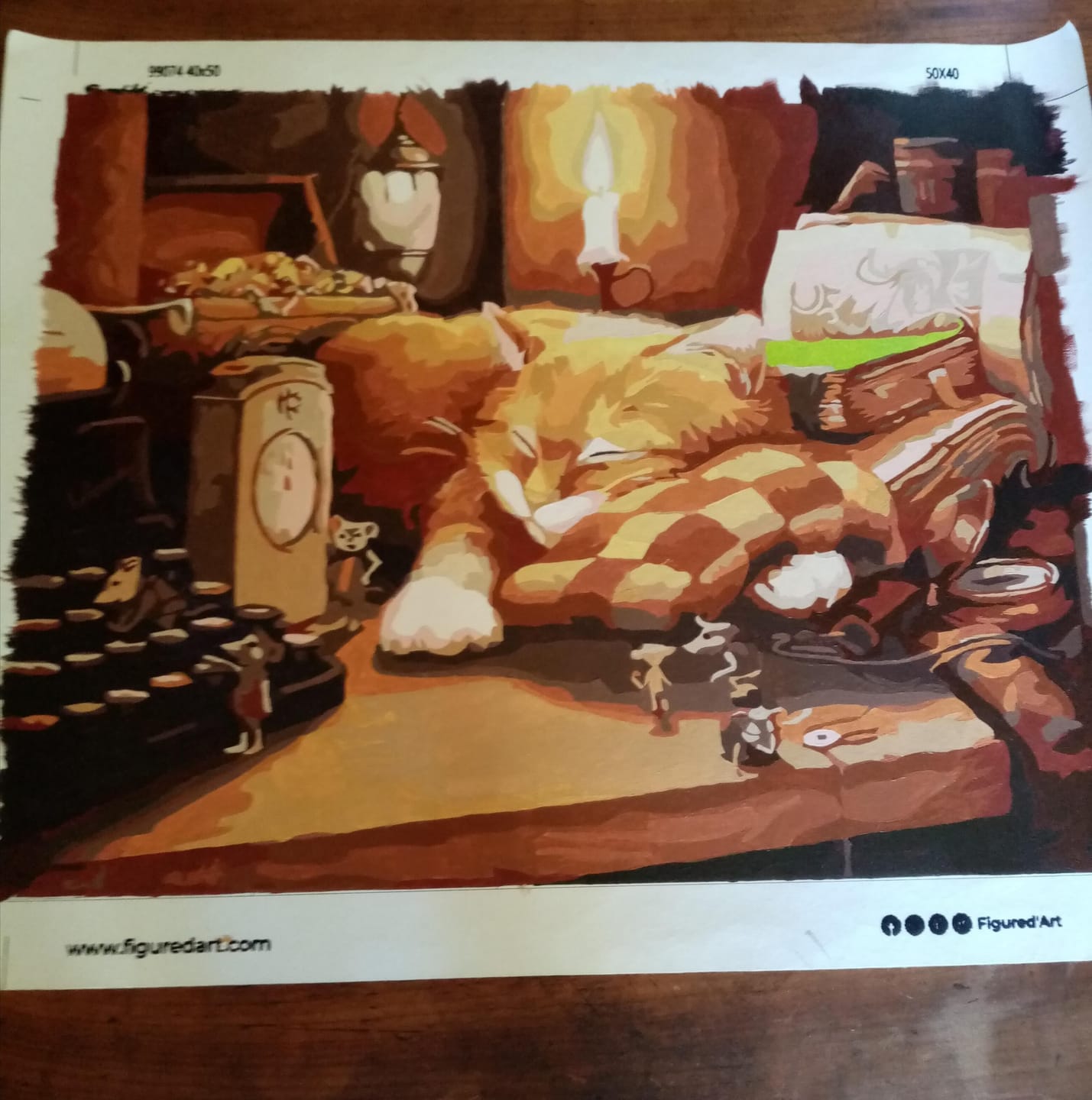Customer photo review of Chat Paresseux